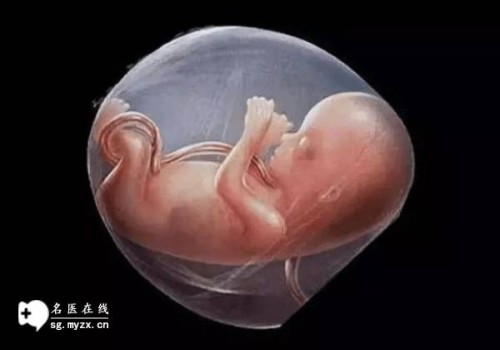 上海助孕代生男孩：﻿巧克力囊肿饮食一定要严格要求，多吃这些食物好处多