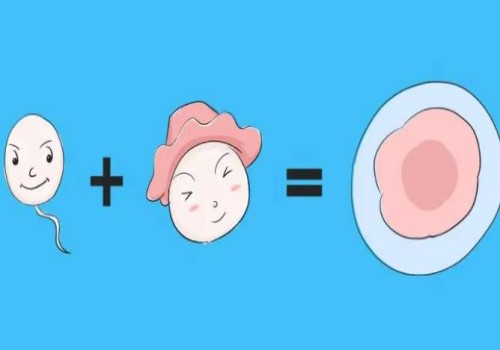 上海助孕机构：死精症和无精症是不同的病症，你知道吗？