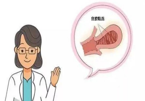 上海助孕生子：龙凤胎B超对比：了解4大特征与双胞胎的不同之处！