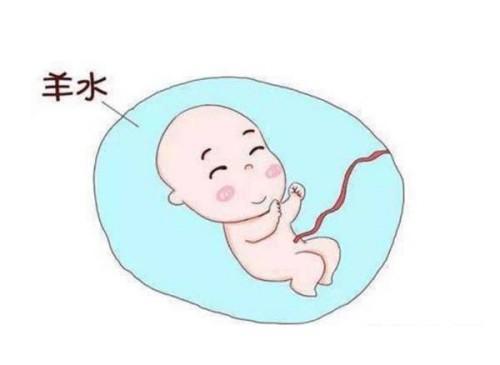 上海试管助孕价格：做宫颈抹片需要注意的事项你都知道吗？